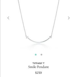 Tiffany & Co Necklace